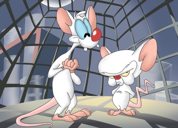 pinky_and_the_brain_rats-580x418-1